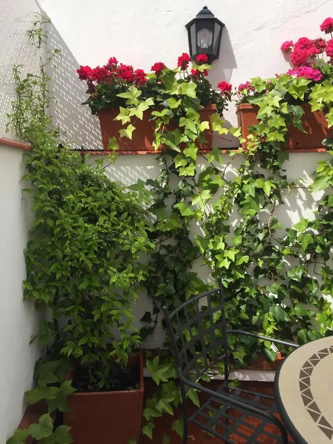 Apartamentos Alfonso XIII Córdoba